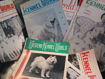 Magazines and publications preserved for research.